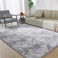 Super Soft Rugs for Living Room, 4X6