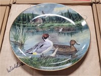 Knowles "The Pintail" Duck Collectible Plate
