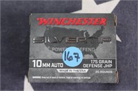 Ammo - 10mm - 20 Rounds