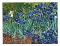 Vincent Van Gogh, Fine Art Giclee" IRISES 1889, F