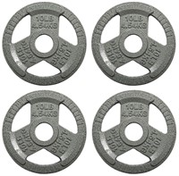 Powergainz 4 Pack 1" 10 Lb Cast Iron Plate Weights