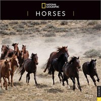 National Geographic: Horses 2023 Wall Calendar