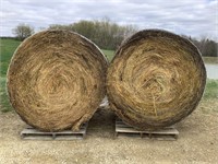 2 - 5'x6' Round Bales of 2nd Crop Alfalfa/ Grass