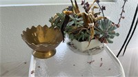 Succulent Pots w Plant Babies