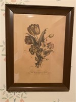 Antique J. L. Prevost Botanical Print