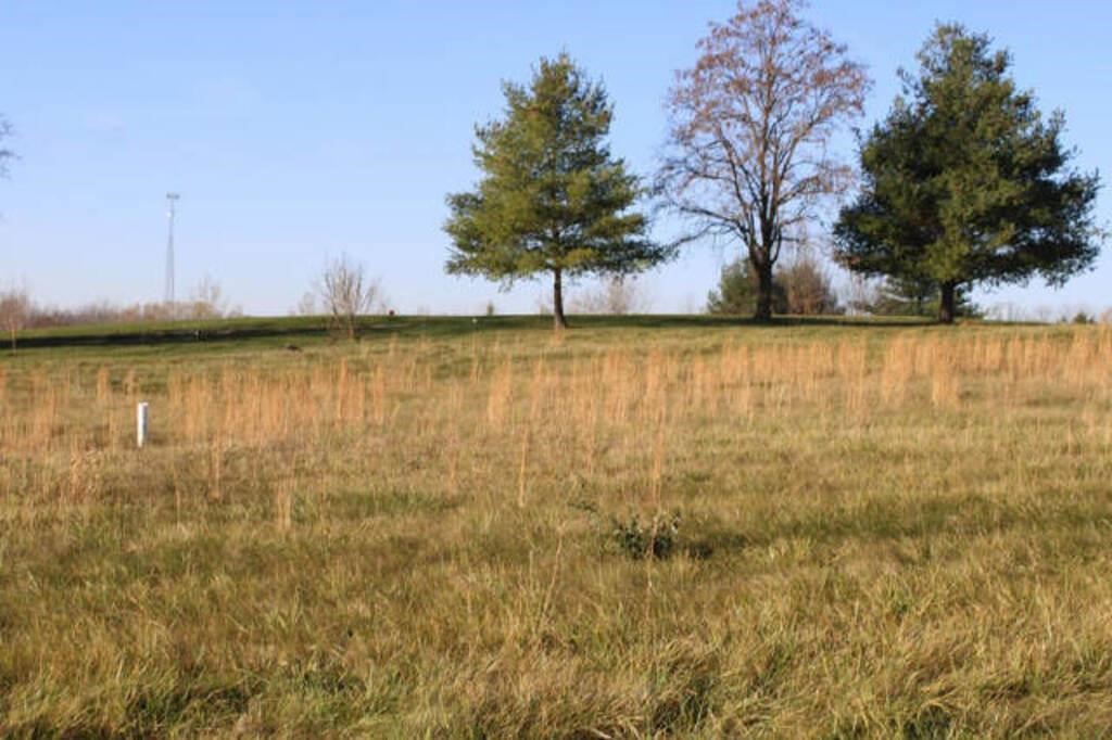 Online Only-Williamsport, OH Building Lot on Golf Course