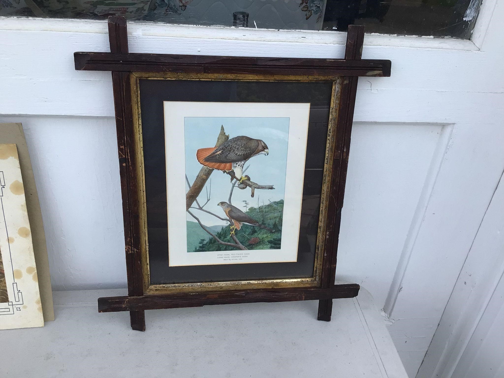 VINTAGE PICTURE FRAME WITH BIRD PRINT