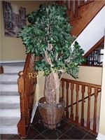 Stunning Faux Ficus & Planter