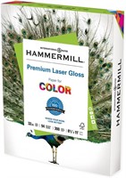 Hammermill Glossy Paper 1 Pack (300 Sheets)