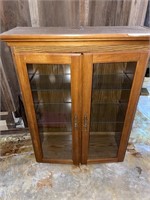 Lighted Cabinet w/ Three Shelves