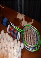 racket ball and pingpong ball set