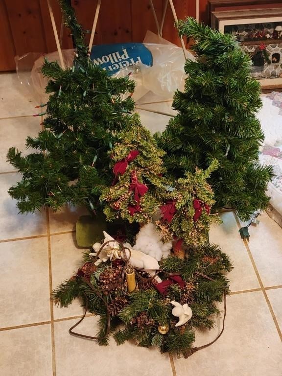 Lot of Small Christmas Trees