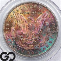 1885-O Morgan Silver Dollar, PCGS MS63 Guide: 100