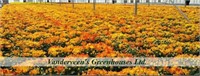 $100 GC for Vanderveen Greenhouse