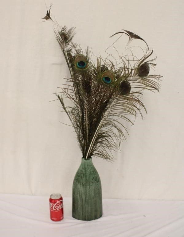 Vase w/ Boho Peacock Feathers