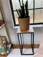 Plant stand table and plant