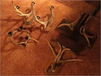 Deer Antler Decor