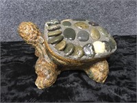 Small Rock Turtle