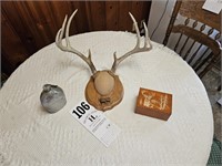 Deer Antler Mount, Wooden Box, Metal Cannister