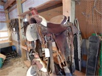 Medium Size Horse - Roping Saddle