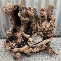Beautiful Large Manzanita Root & Intertwined Stone