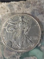 2005 American Silver Eagle $1 1 Oz Fine Silver