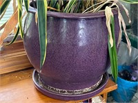 Large Purple Ceramic Plant Pot Planter