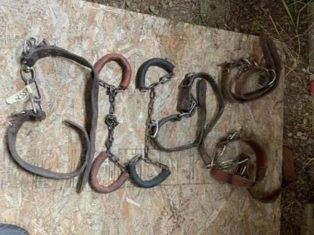 4 Leather Horse Hobbles, 2 Chain Hobbles