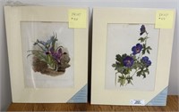 2 Botanical Prints