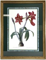 Botanical Art Print Framed