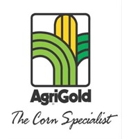 10 Bags of AgriGold Corn Seed