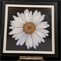 Framed White Daisy