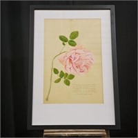 Pink Rose Print