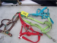 4 Halters