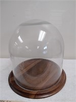 Glass Dome display