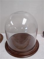 Dome glass display
