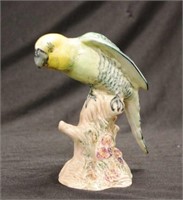 Beswick Parakeet