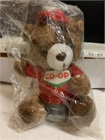 CO-OP. Bear