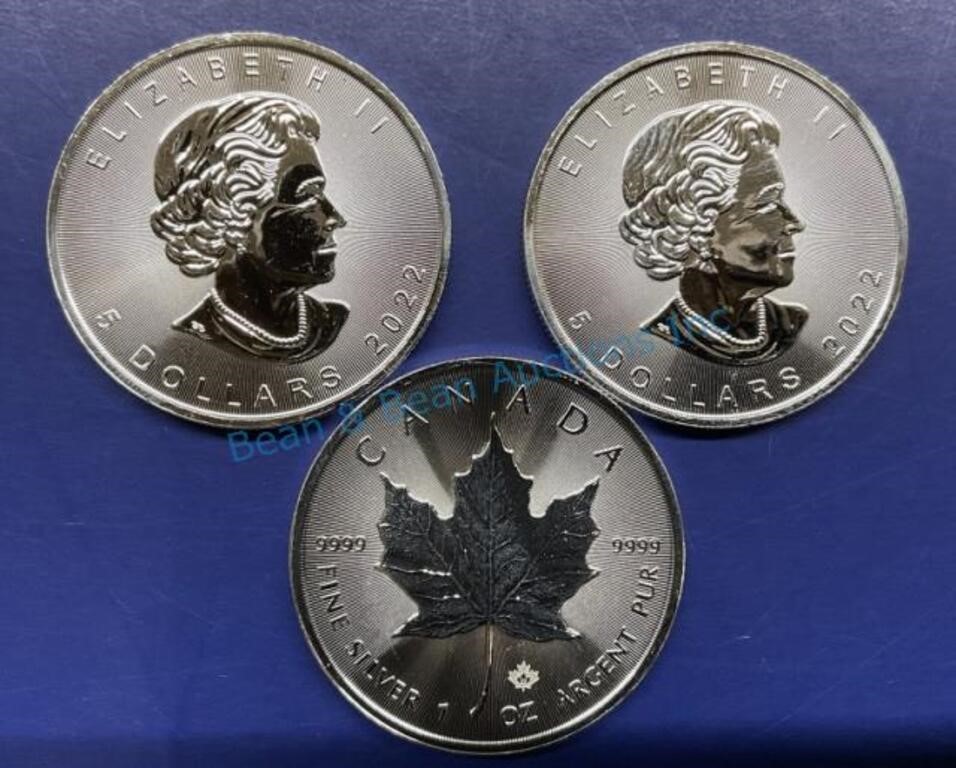 1 ounce silver Maple leafs