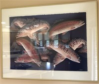 Judy Haas print. Brown trout/rainbow trout. 3