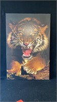 Large Tiger Print Mounted On Board 24" Wide X 36"