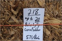 Corn Fodder-Lg. Squares