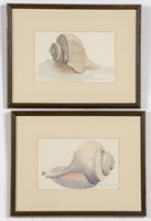Pair, Elsie Dresch Watercolor Shells