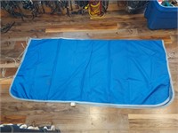 Blue Ring Side Sheet or Other Uses