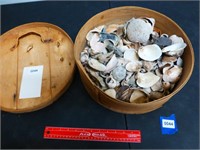 Wooden Box of Sea Shells & More