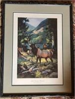 " Back Country Monarch" Framed Print