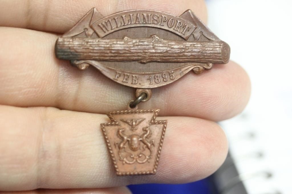 1895 Williamsport Pin