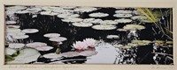 Art Photography Pink Water Lillies Signed
