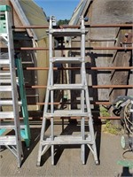 Werner 21' Multi-Task Ladder