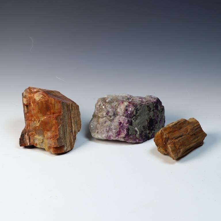 Heavy petrified wood and Amethyst quartz